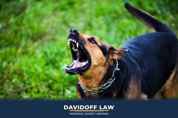Why Dog Mauling Cases Are Different From Dog Bites