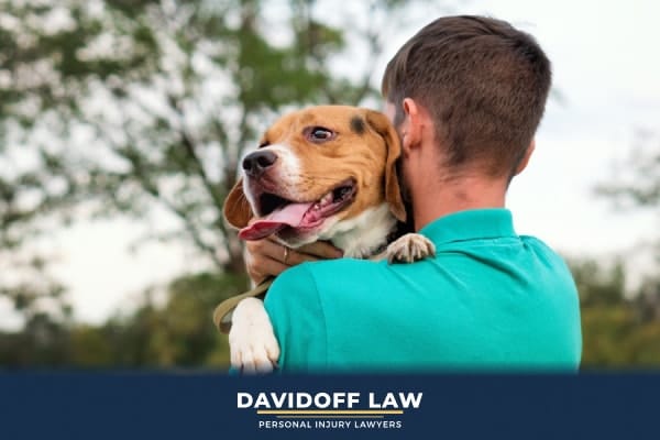 Who Is Liable for Dog Attacks in Apartment Common Areas?